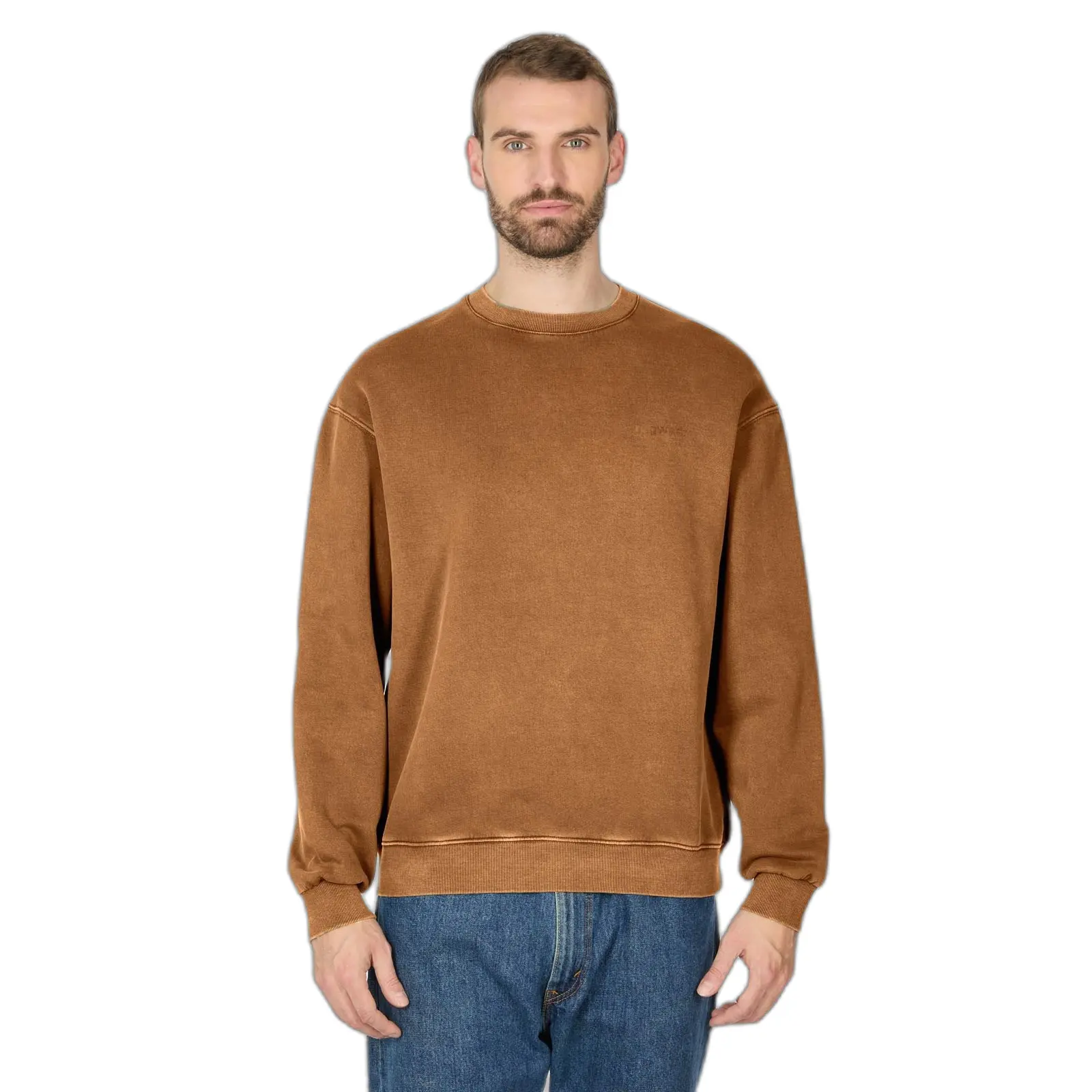 Sweatshirt  Washel