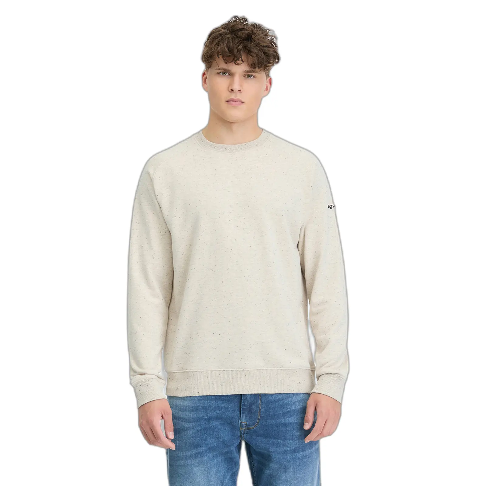 Felpa Ragwear Lewon