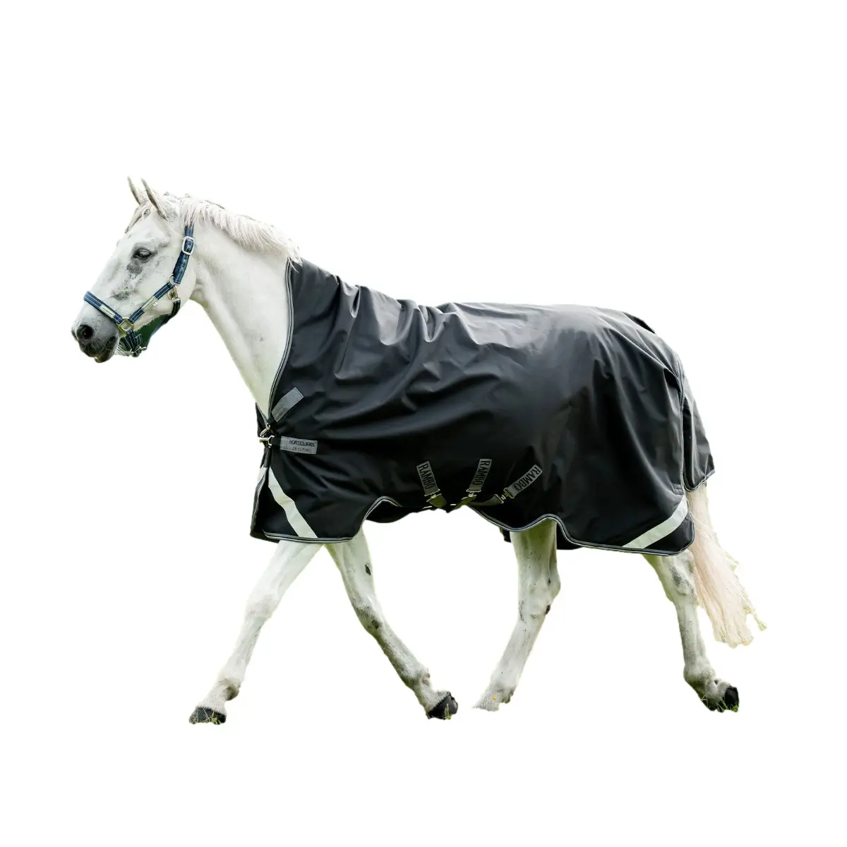 Coperta da paddock per cavalli Rambo 1680D Wug 50g