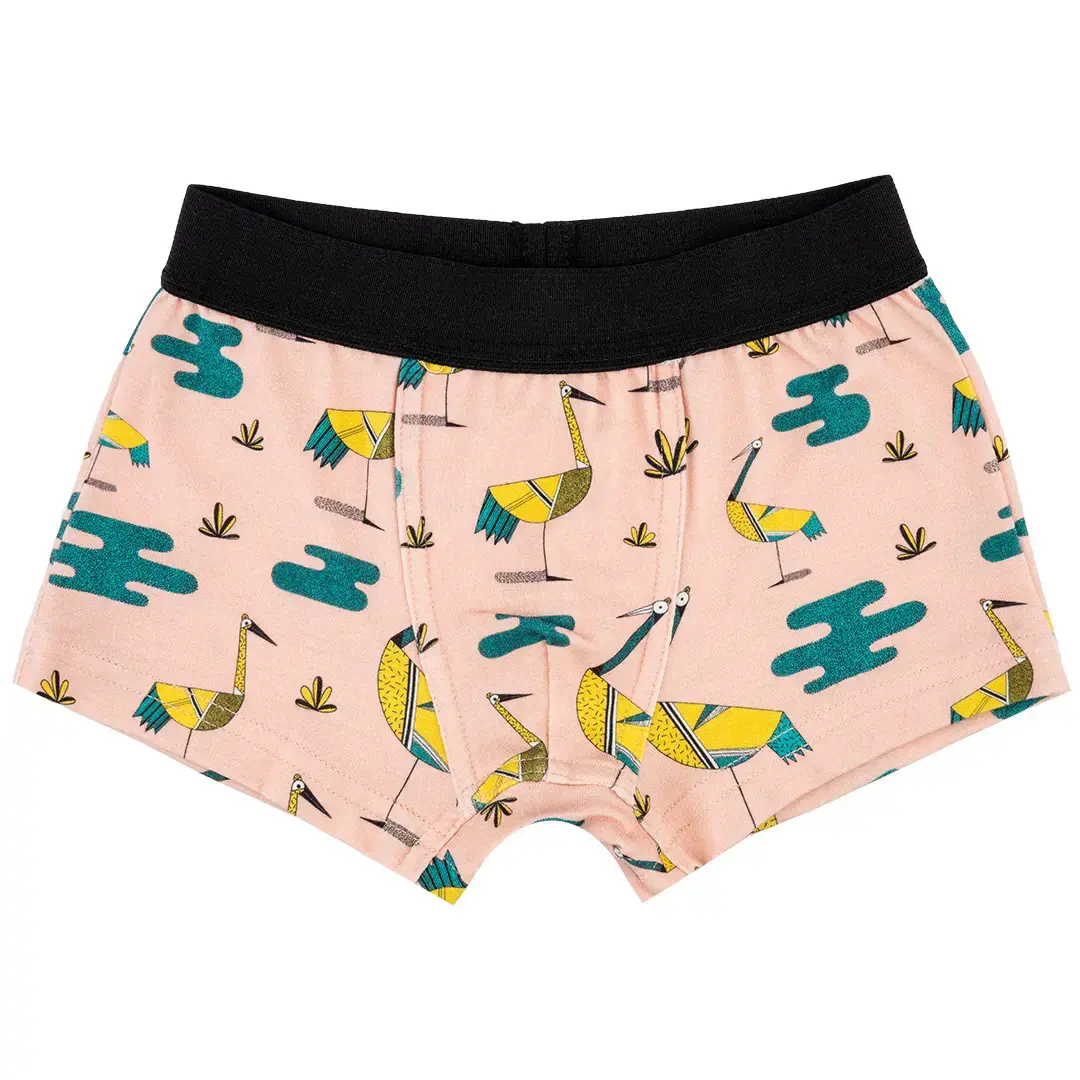 Boxer bébé garçon Raspberry Republic