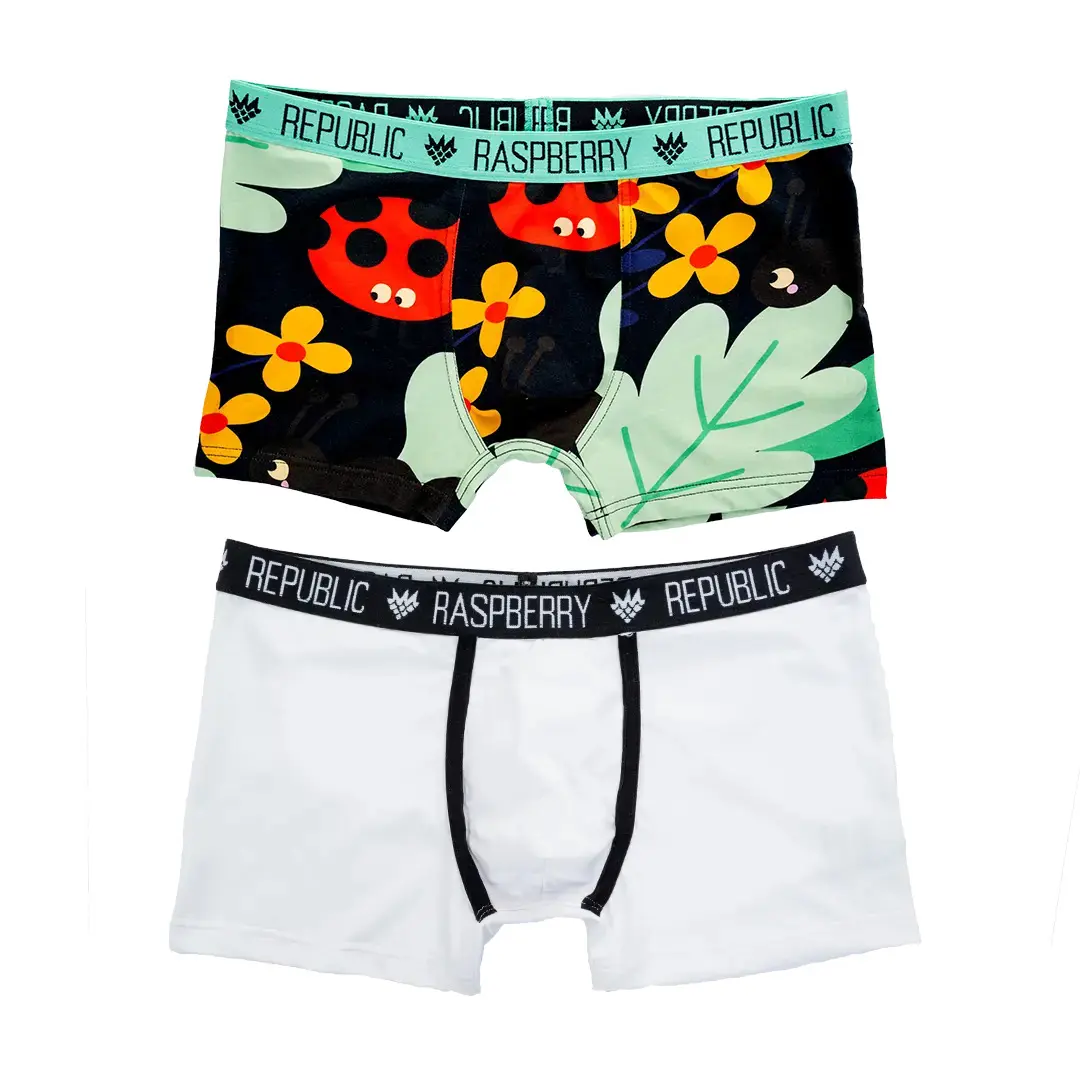 Boxer bébé garçon Raspberry Republic (x2)