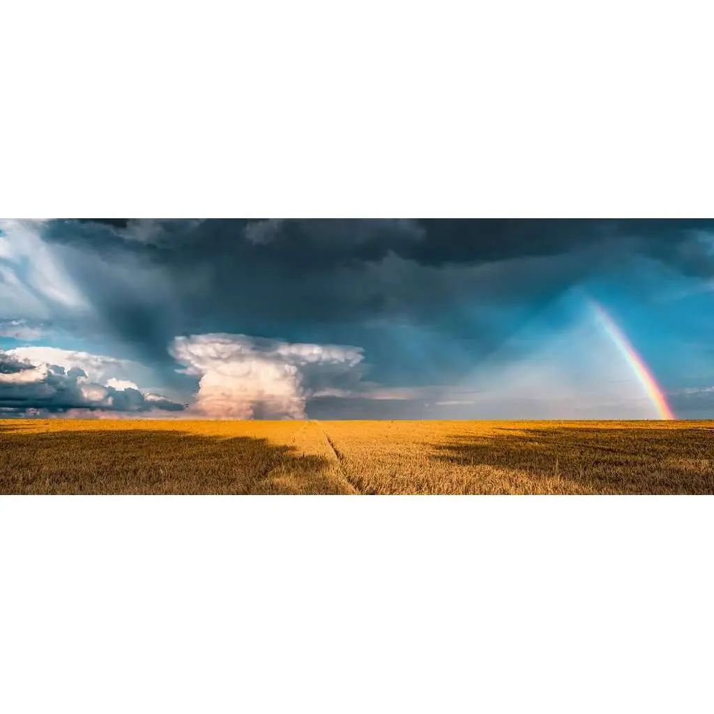 Ravensburger Bleu Puzzle De 1000 Pièces Arc-En-Ciel Mystique Nature Edition