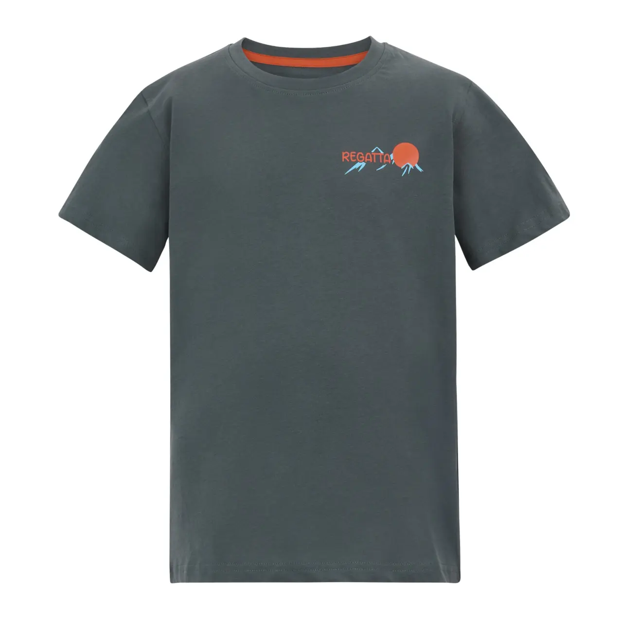 Regatta Unisex Kids Gris Kid's Cotton T-Shirt Bosley