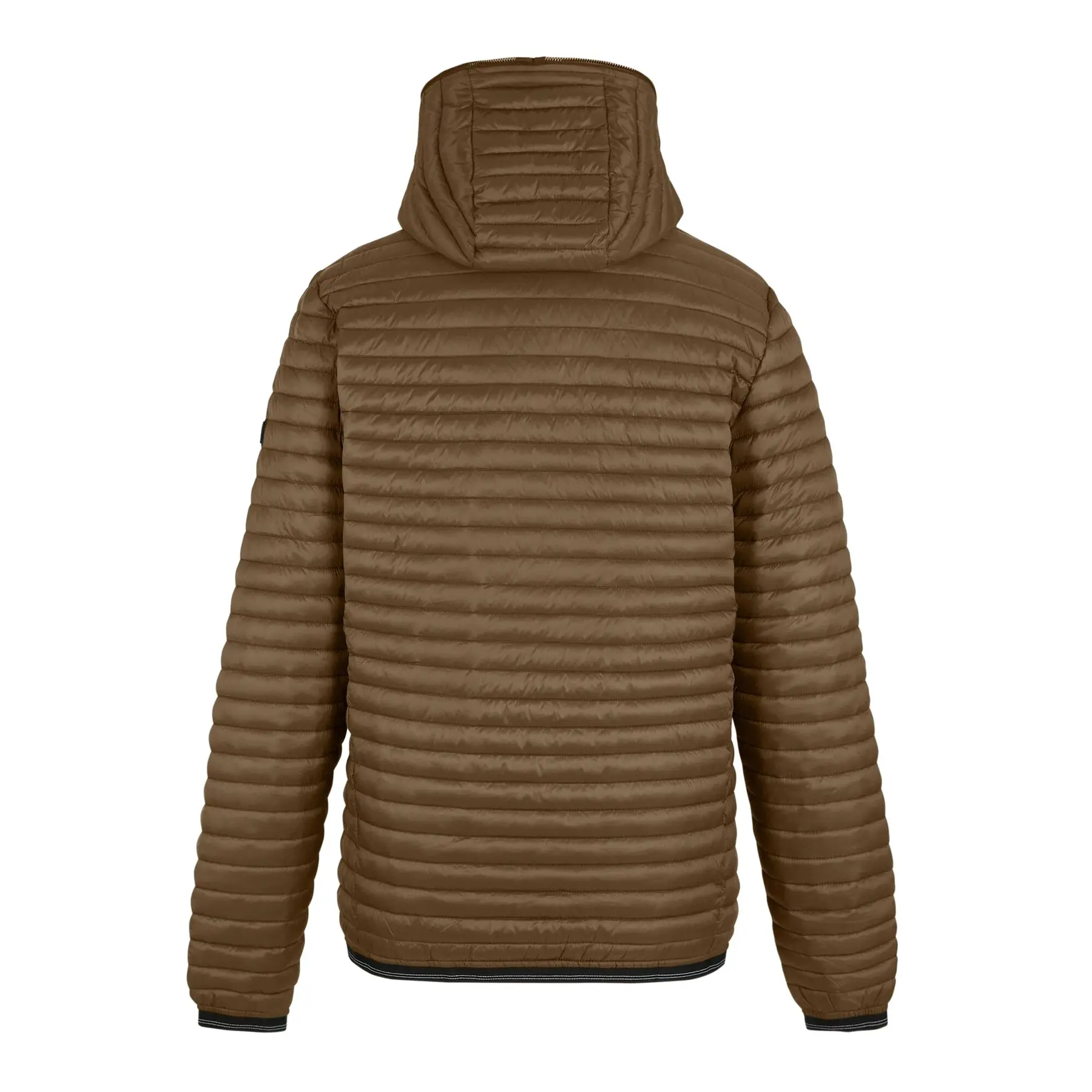 Piumino con cappuccio Regatta Rigain