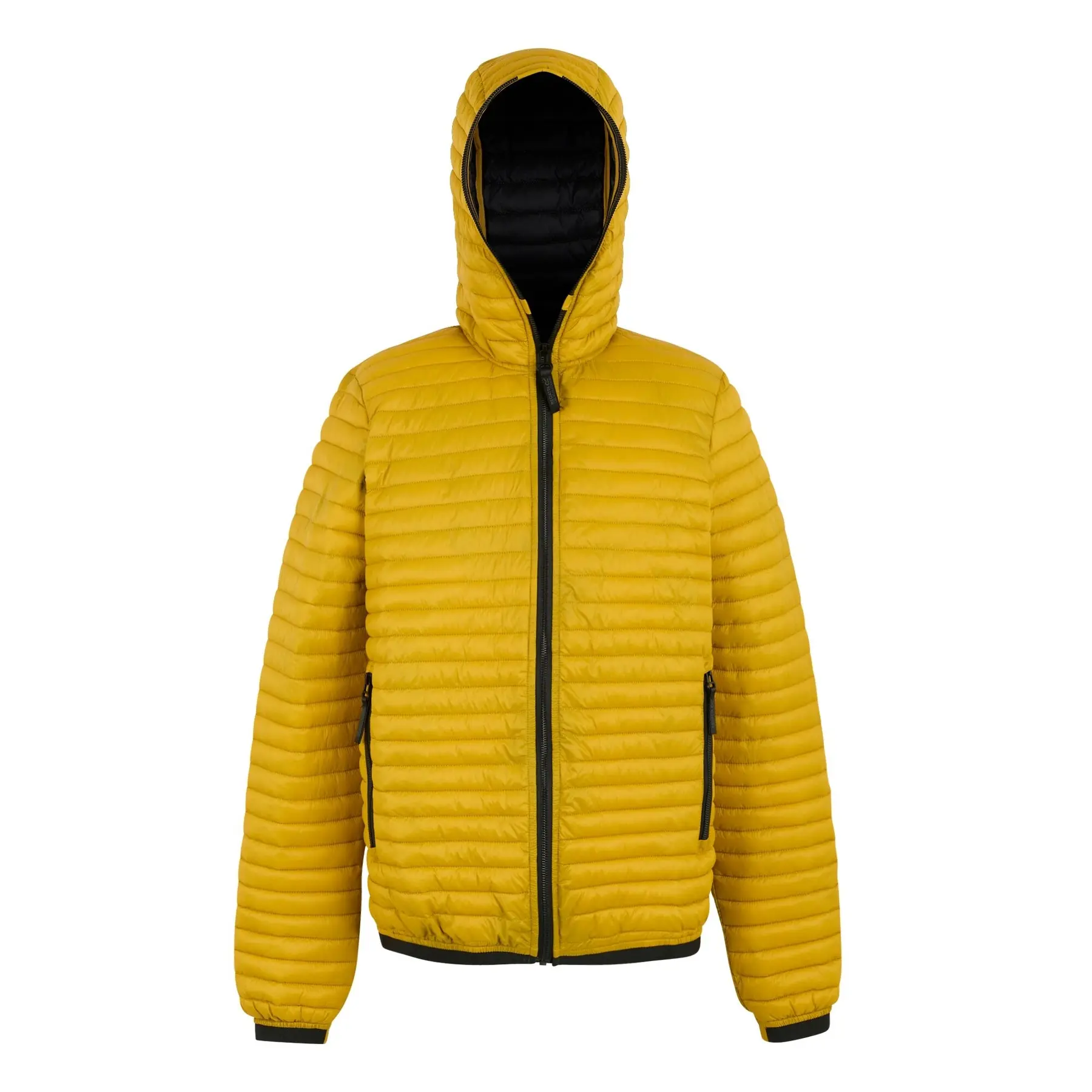 Piumino con cappuccio Regatta Rigain