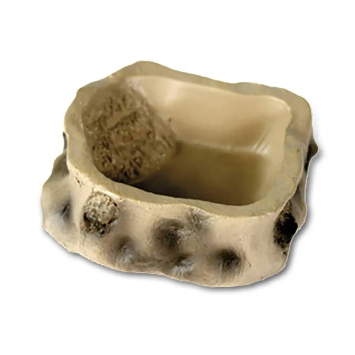 Turtle feeder Reptiles Planet