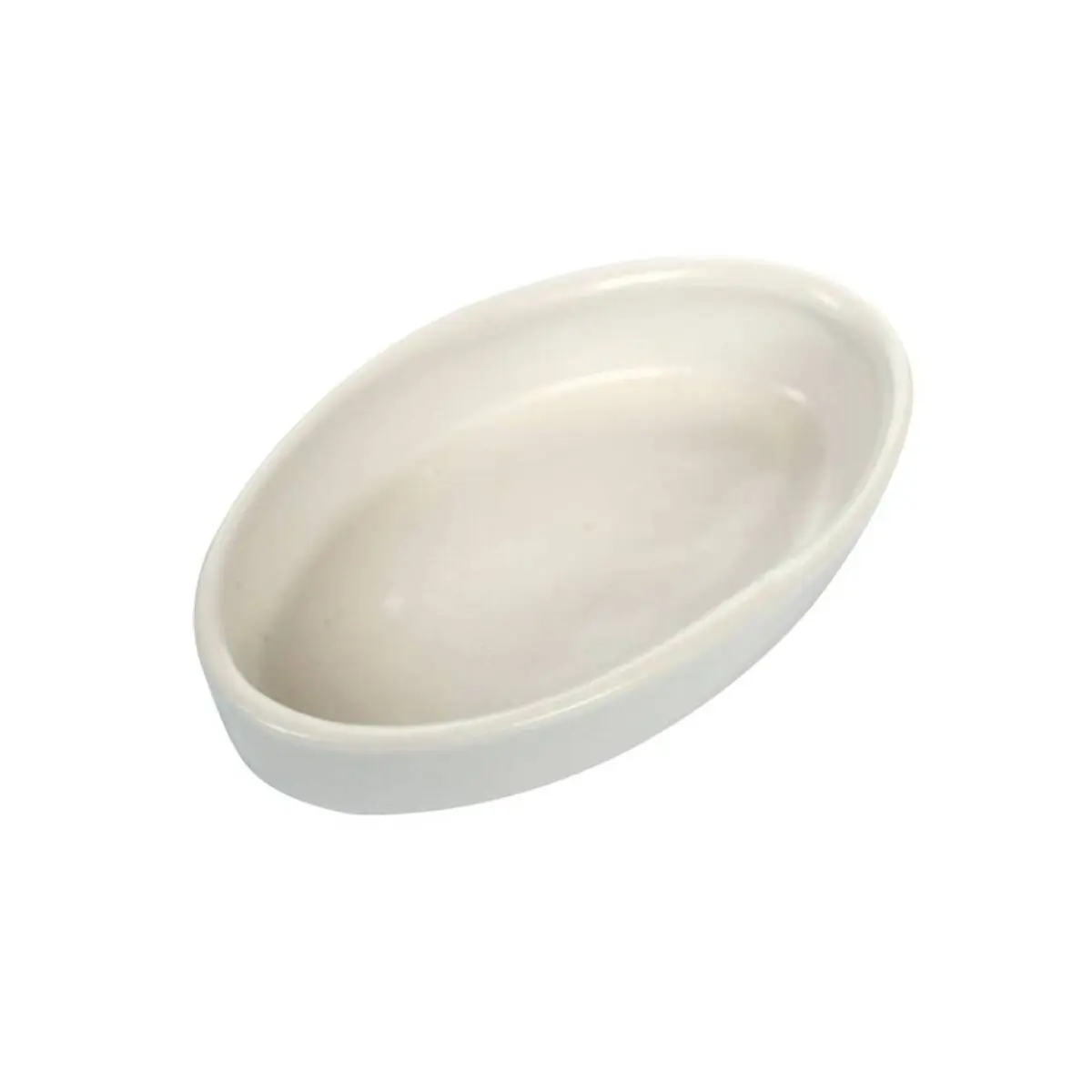 Bassine en céramique Reptiles Planet