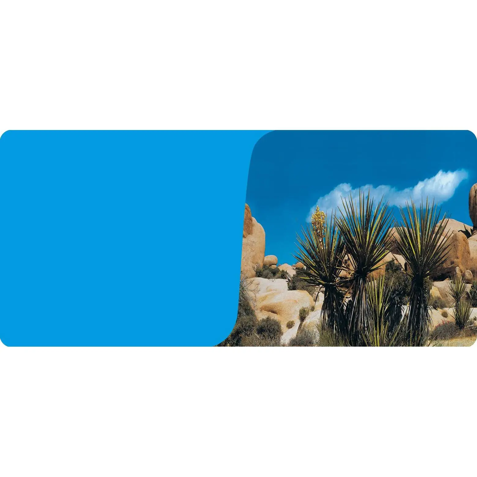 Reptiles Planet Blau Poster 2-Seitig 1 Rolle À 15 Meter Desert/Bleu Terrarium