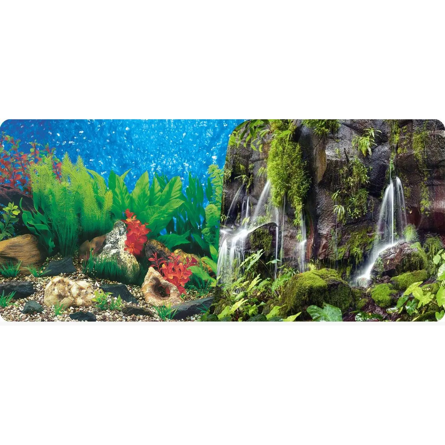 Poster 2 faces 1 rouleau de 15 mètres Reptiles Planet Waterfall Aquarium/Terrarium