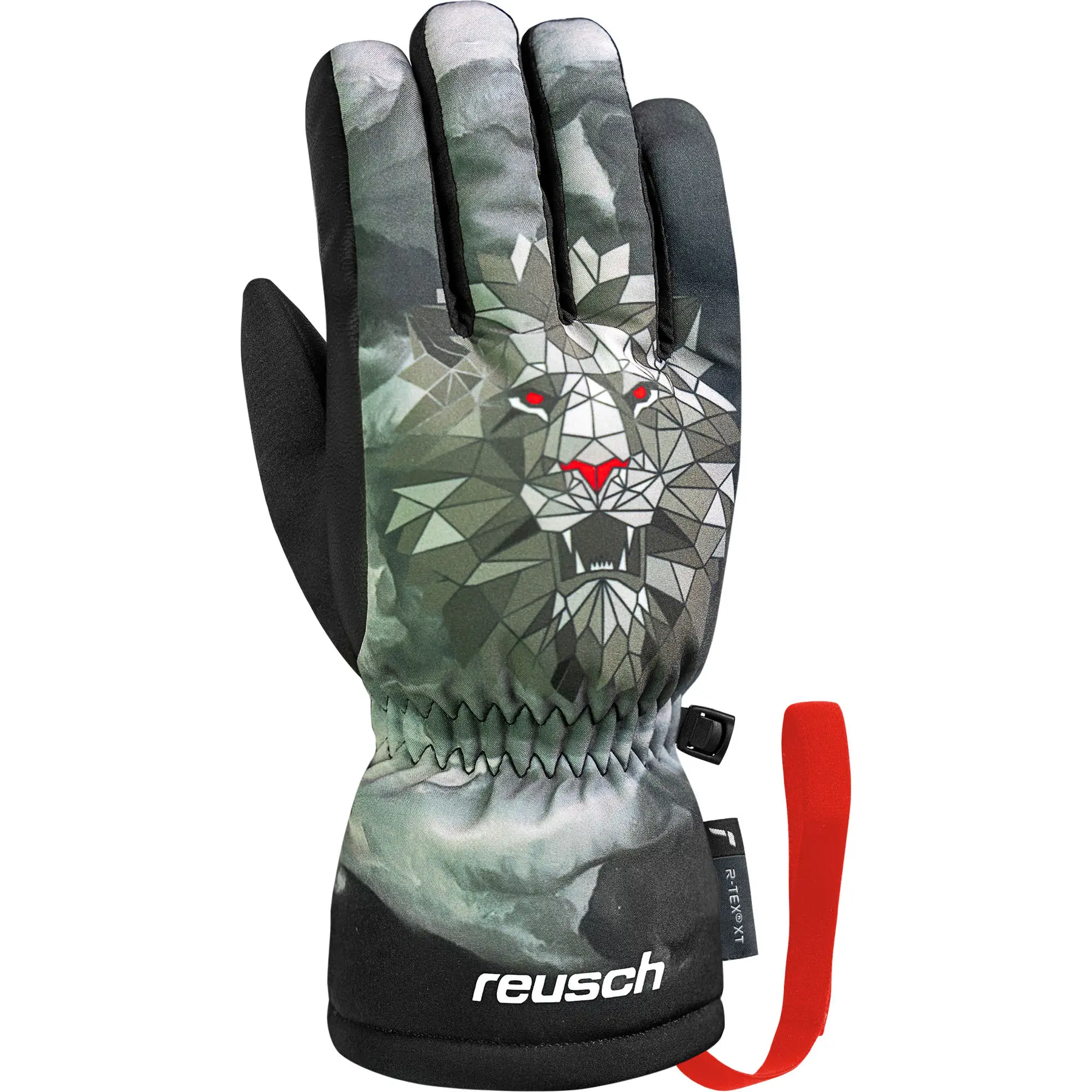 Skihandschuhe Kind Reusch Carter R-TEX® XT