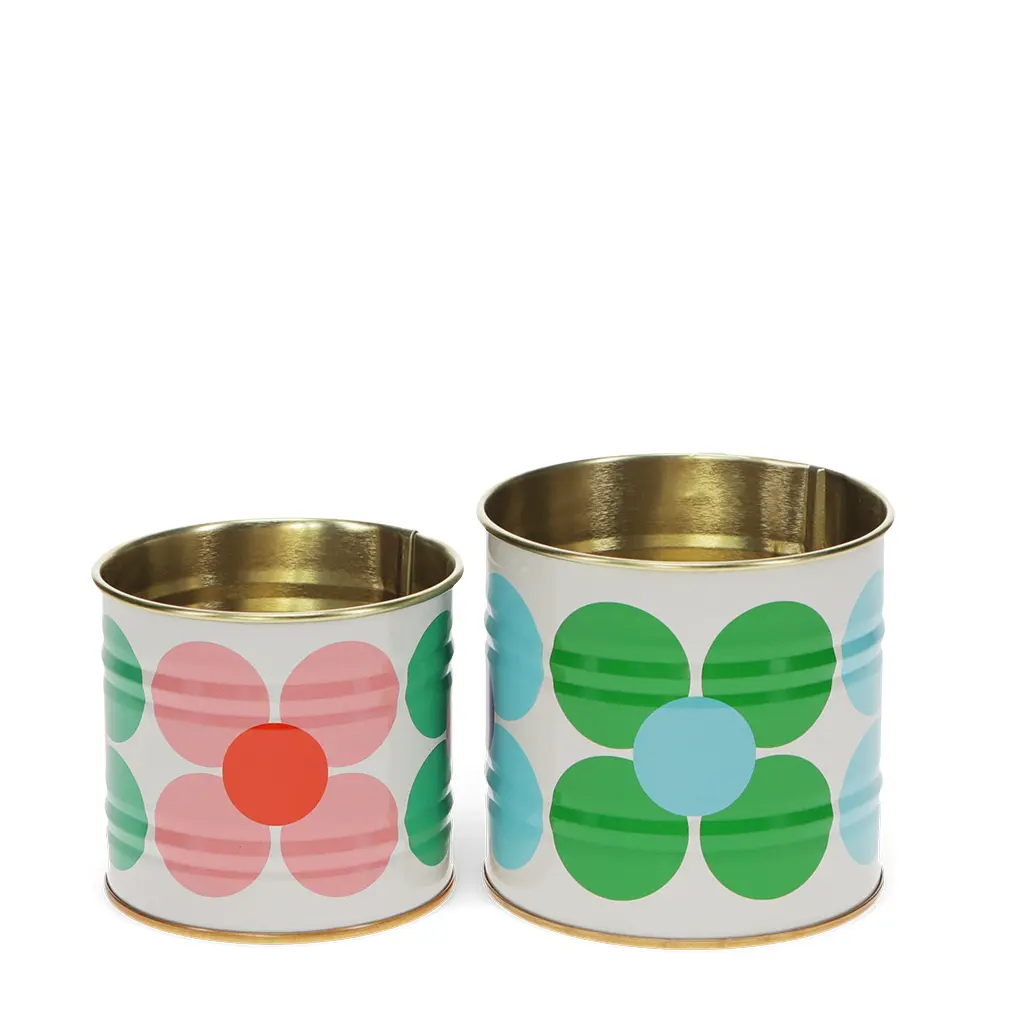 Boîte de rangement Rex London Daisy Mini (x2) Boîte de rangement Rex London Daisy Mini (x2)