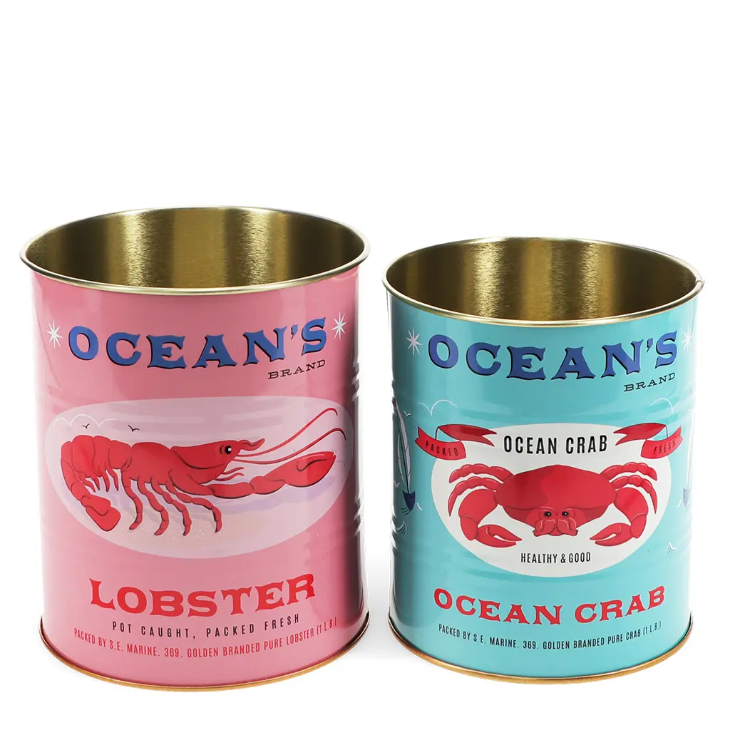 Ocean's Brand Aufbewahrungsbox Rex London (x2)