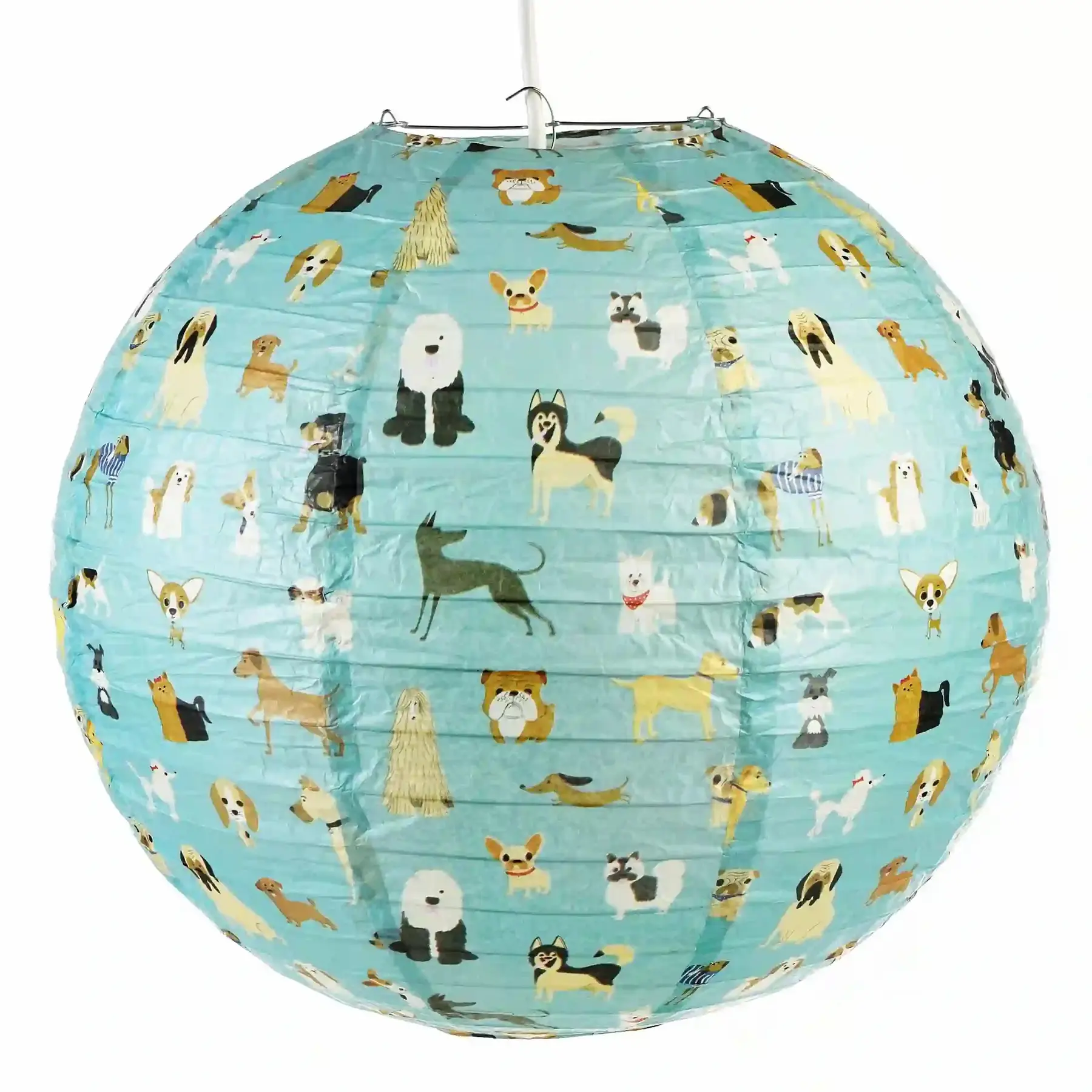 Abat-jour en papier Rex London Best In Show Abat-jour en papier Rex London Best In Show