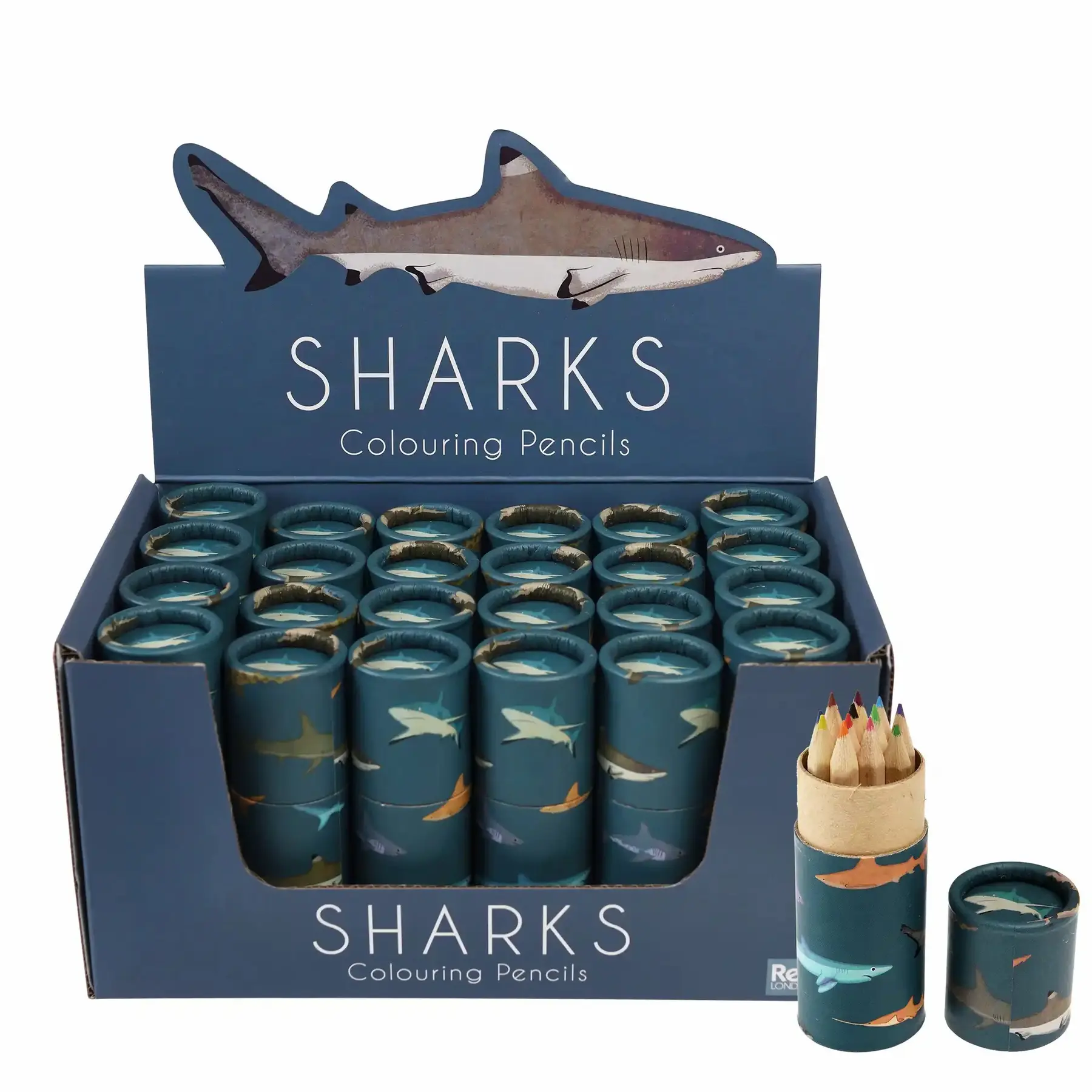 Buntstifte in der Tube Rex London Requins (x12)