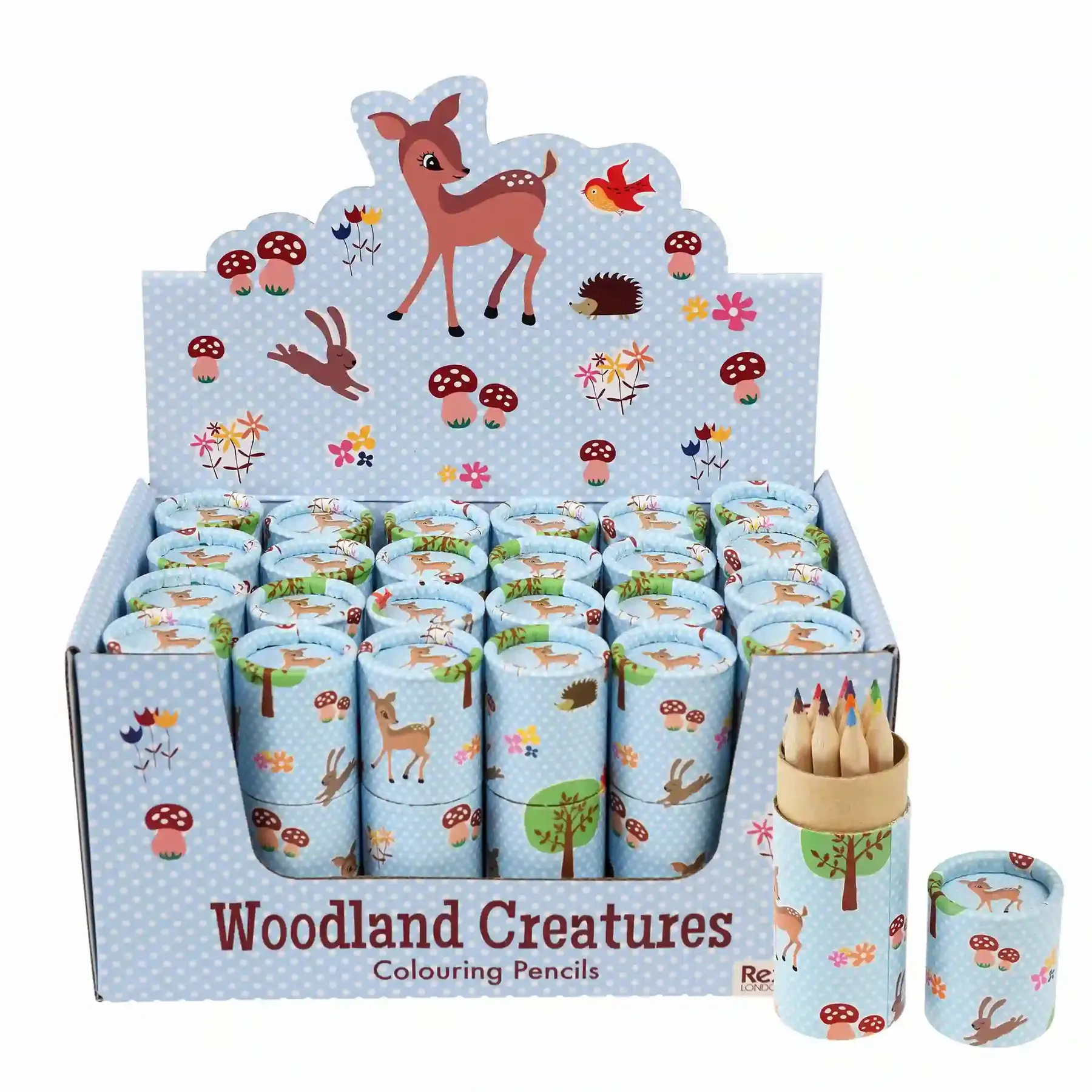 Buntstifte in der Tube Rex London Woodland Creatures (x12)