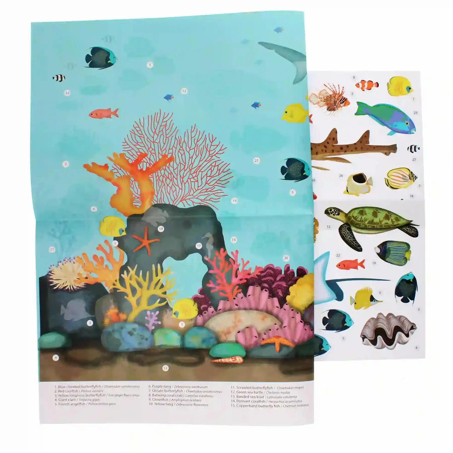 Poster adesivo sulla barriera corallina Rex London