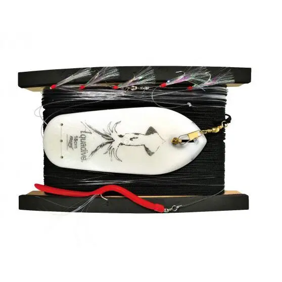 Leitung Ragot shallow coastal trolling