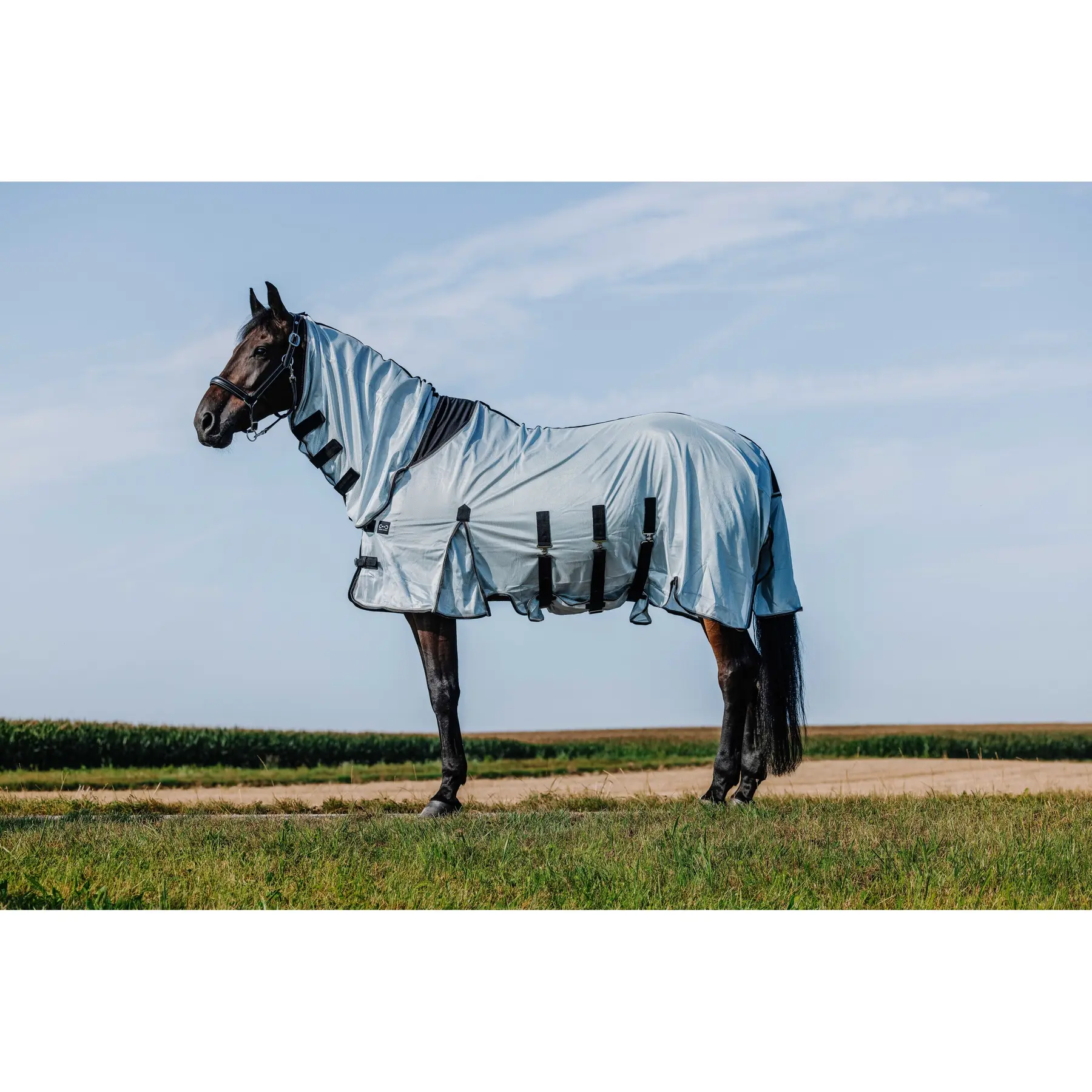 Hemd für Pferd Riding World Belly Mesh Combo