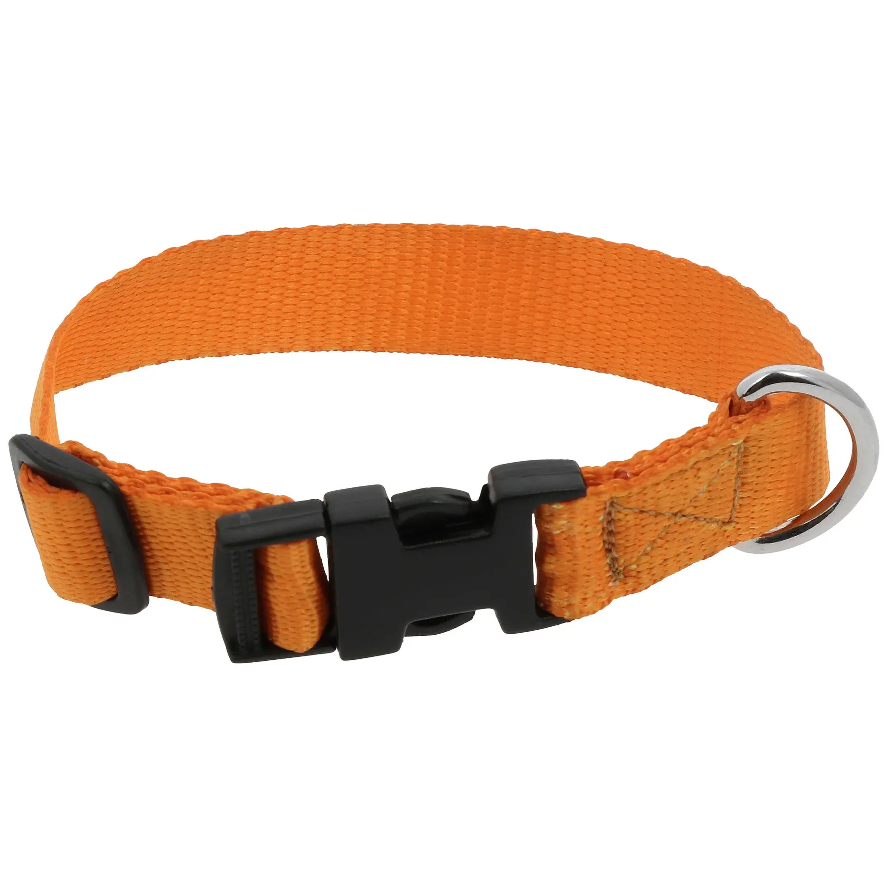 Hundehalsband Riding World Pat