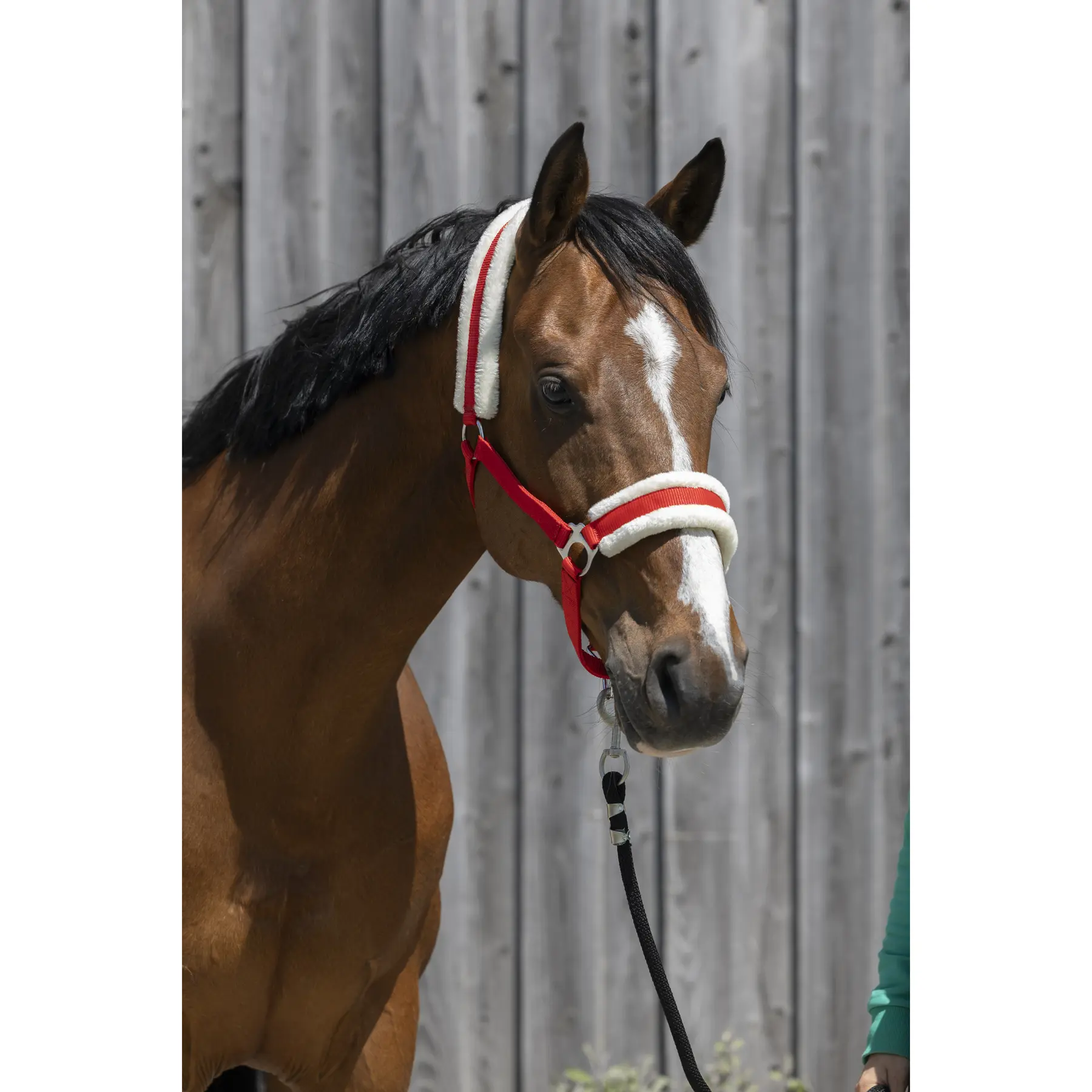 Licol pour cheval en mouton synthétique Riding World