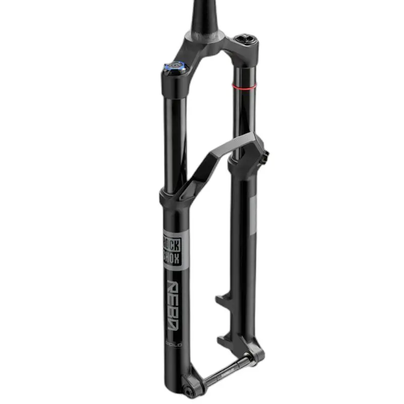 Gabel 120 Rockshox REBA Gold Rem 3P
