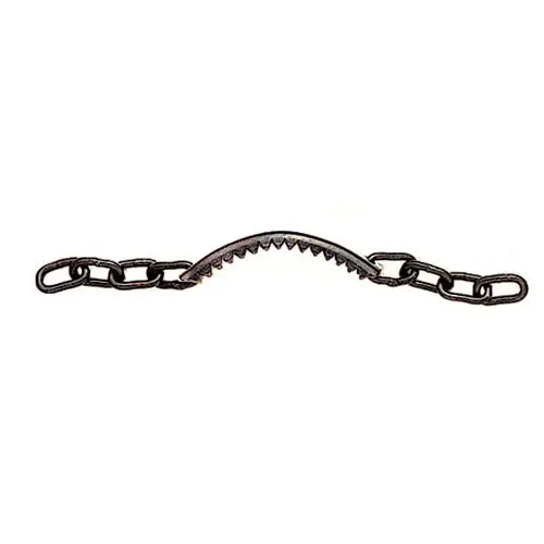 Bit with curb chain for horse Roldan