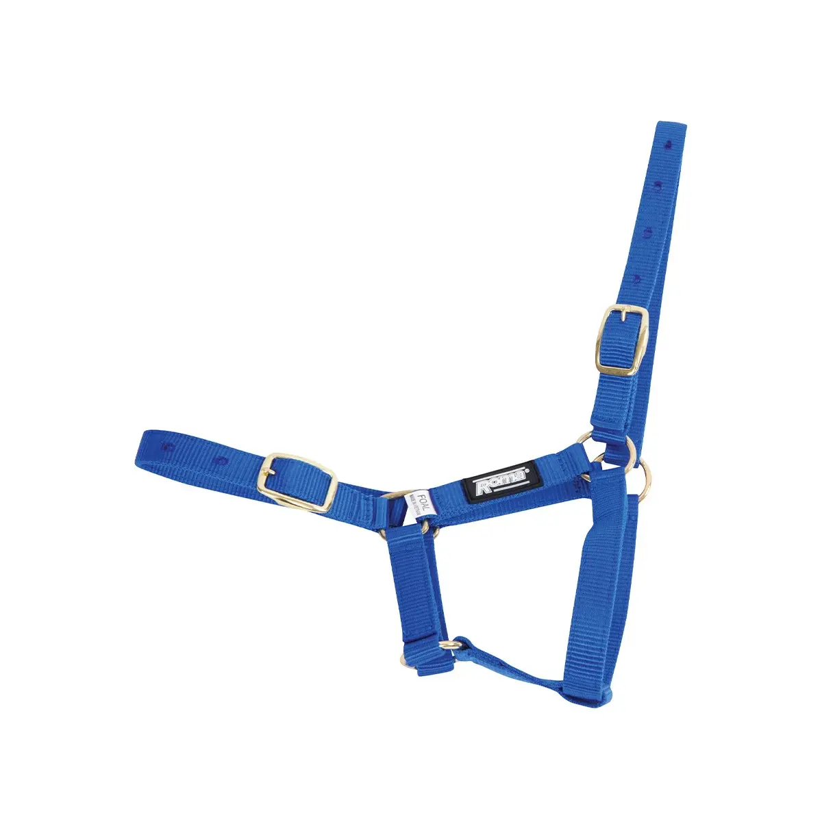 Halter for foal Roma Foal