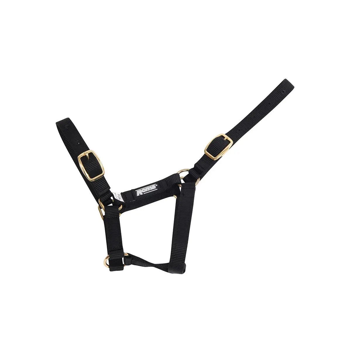 Halter for foal Roma Foal