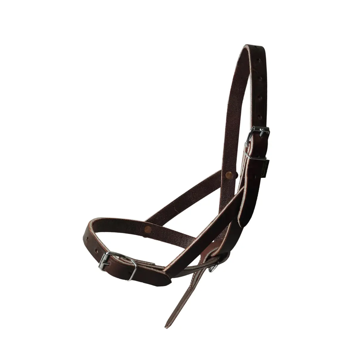 Chrome leather foal halter Ronzon Legend