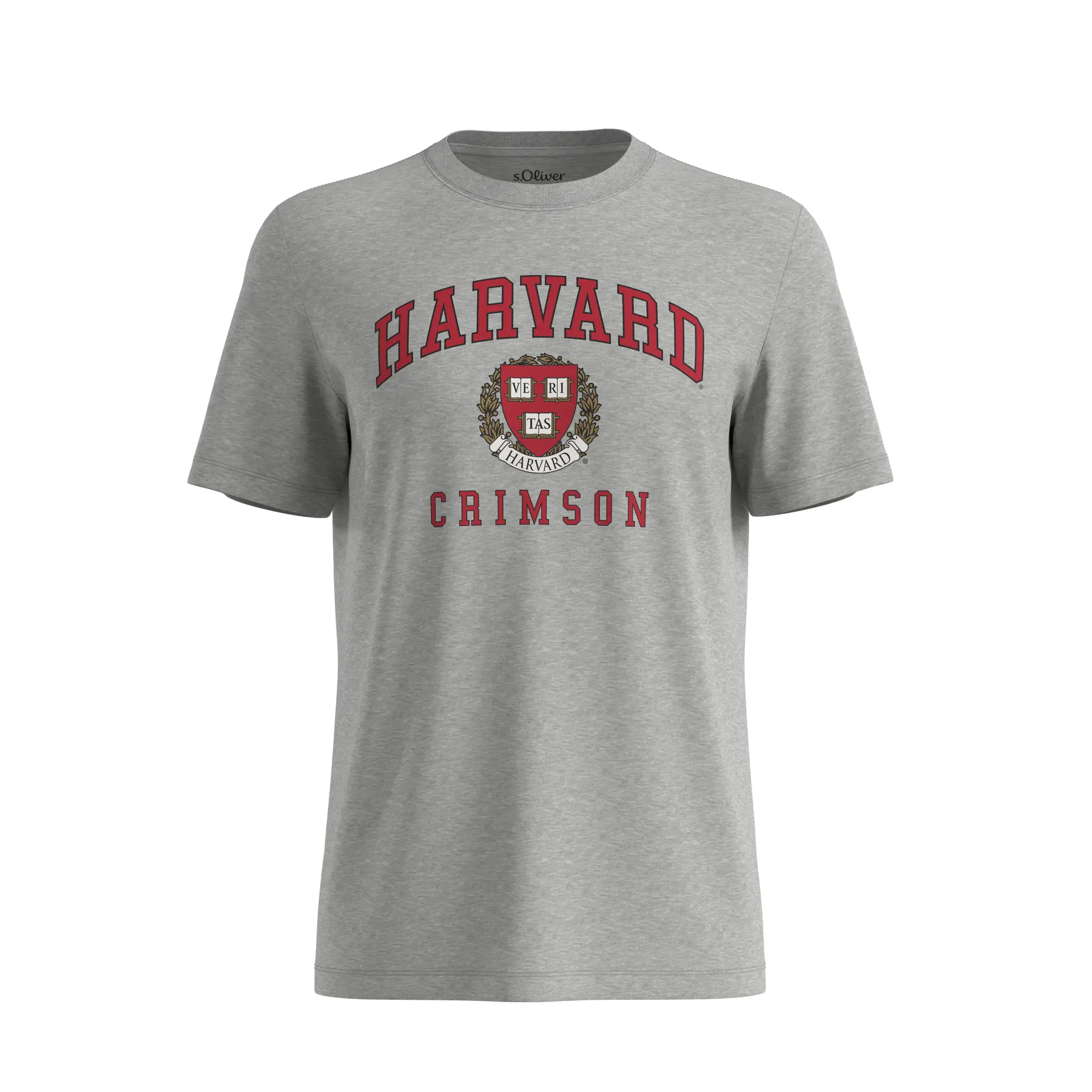 Klassisches T-Shirt aus Baumwolljersey mit Druck vorne s.Oliver