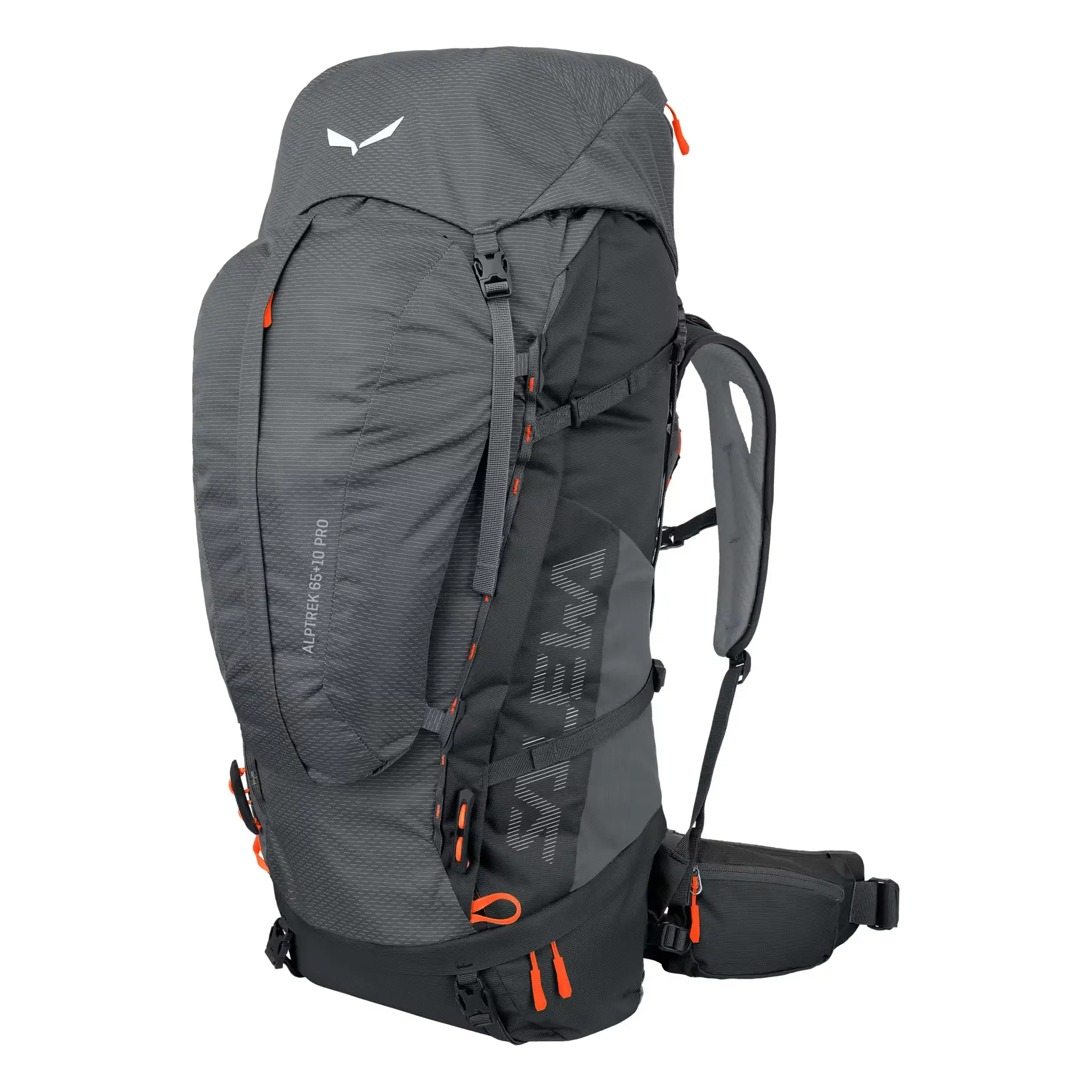 Bolsa de senderismo Salewa Alptrek 65 +10 Pro