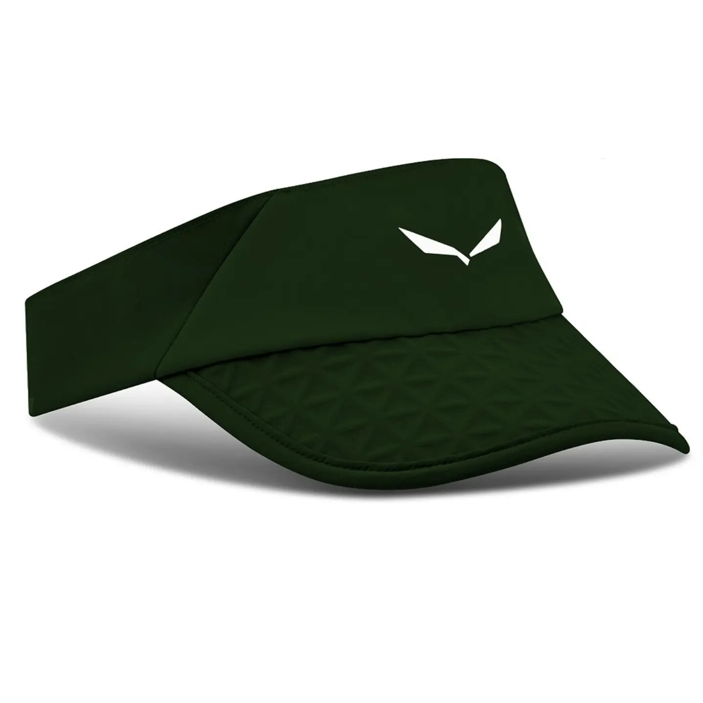 Baseball cap Salewa Pedroc Dst Light Visor