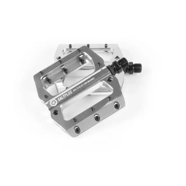 Pedalen Salt Plus Echo