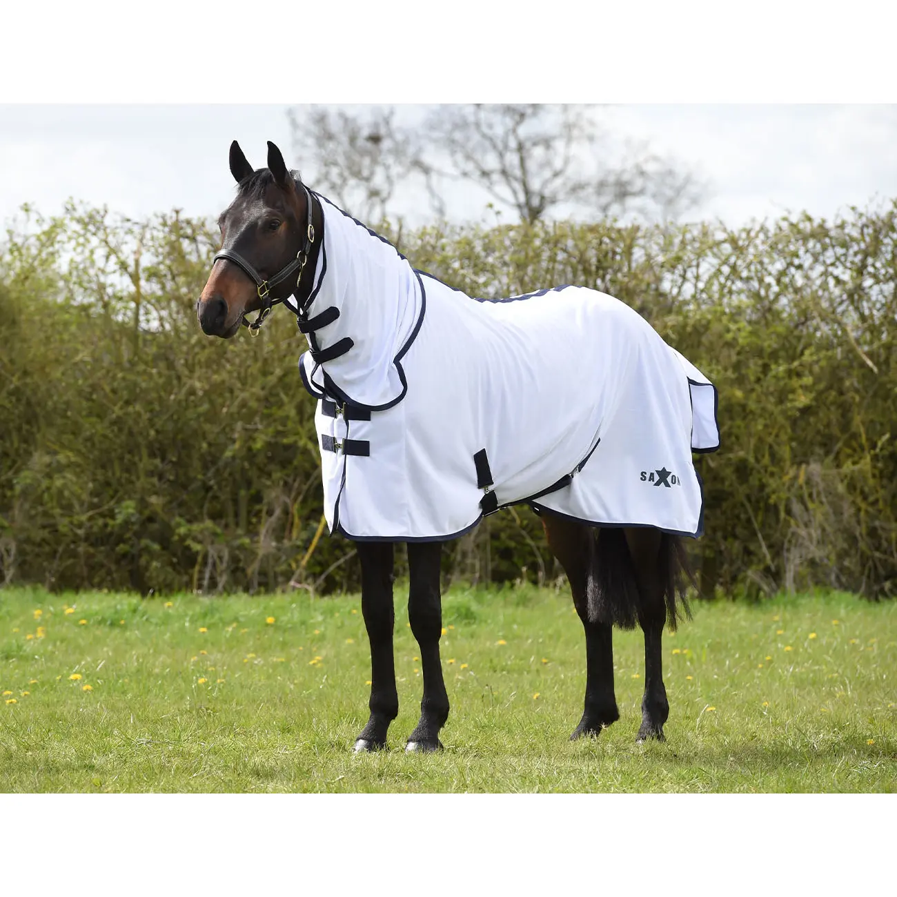Outdoor  Blanket Saxon Mesh Combo