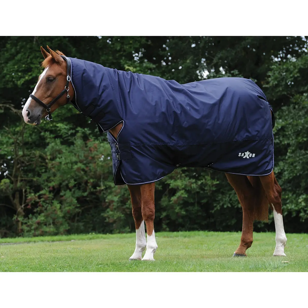 Coperta da paddock per cavalli Saxon Defiant Combo 200g