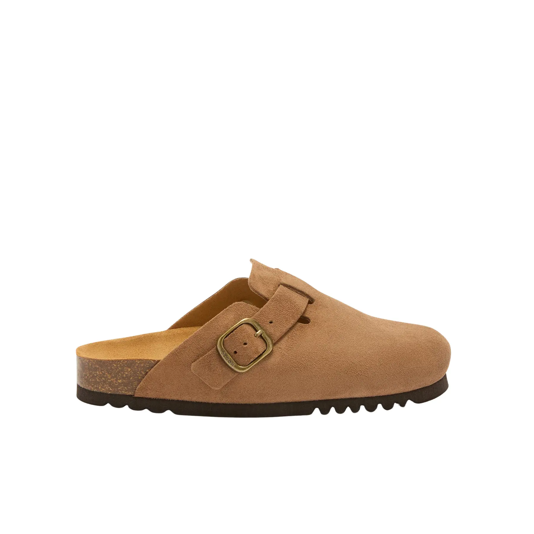 Sabot Scholl Fae