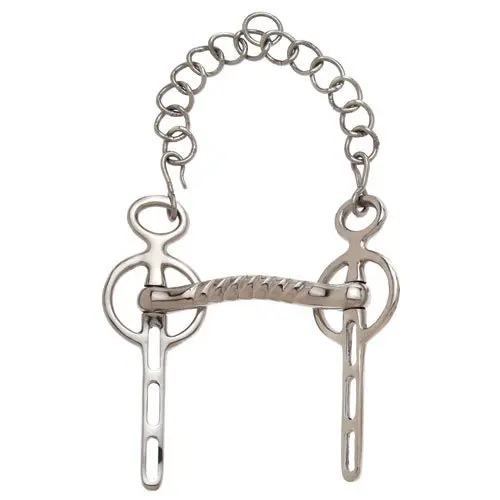 Bit with curb chain for horse Sefton Liverpool