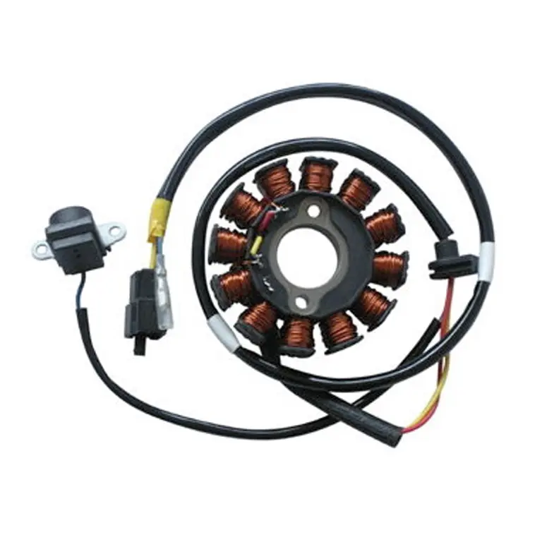 Motorstator-Zündung 12 Pole SGR Kymco People S 125/200