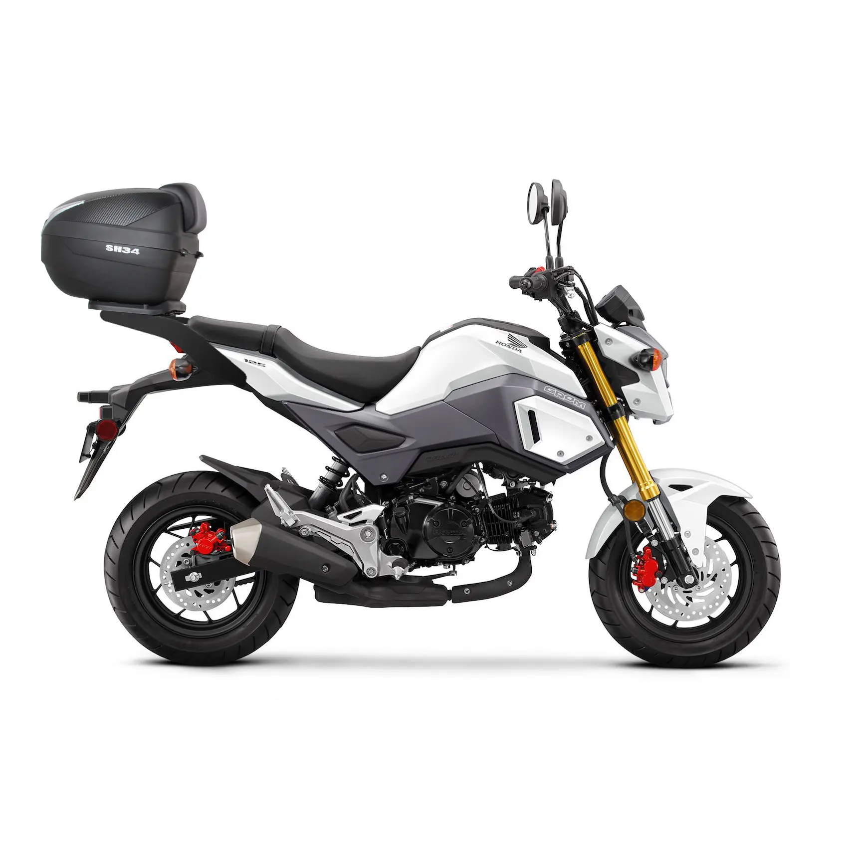 Halter Top Case Roller Shad Honda MSX 125 (17 bis 20)