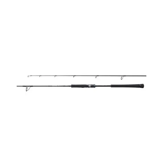 Spinhengel Shimano Jigging