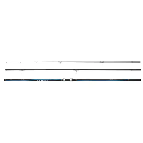 Beicastrute Shimano Alivio Surf T 450 BX-G