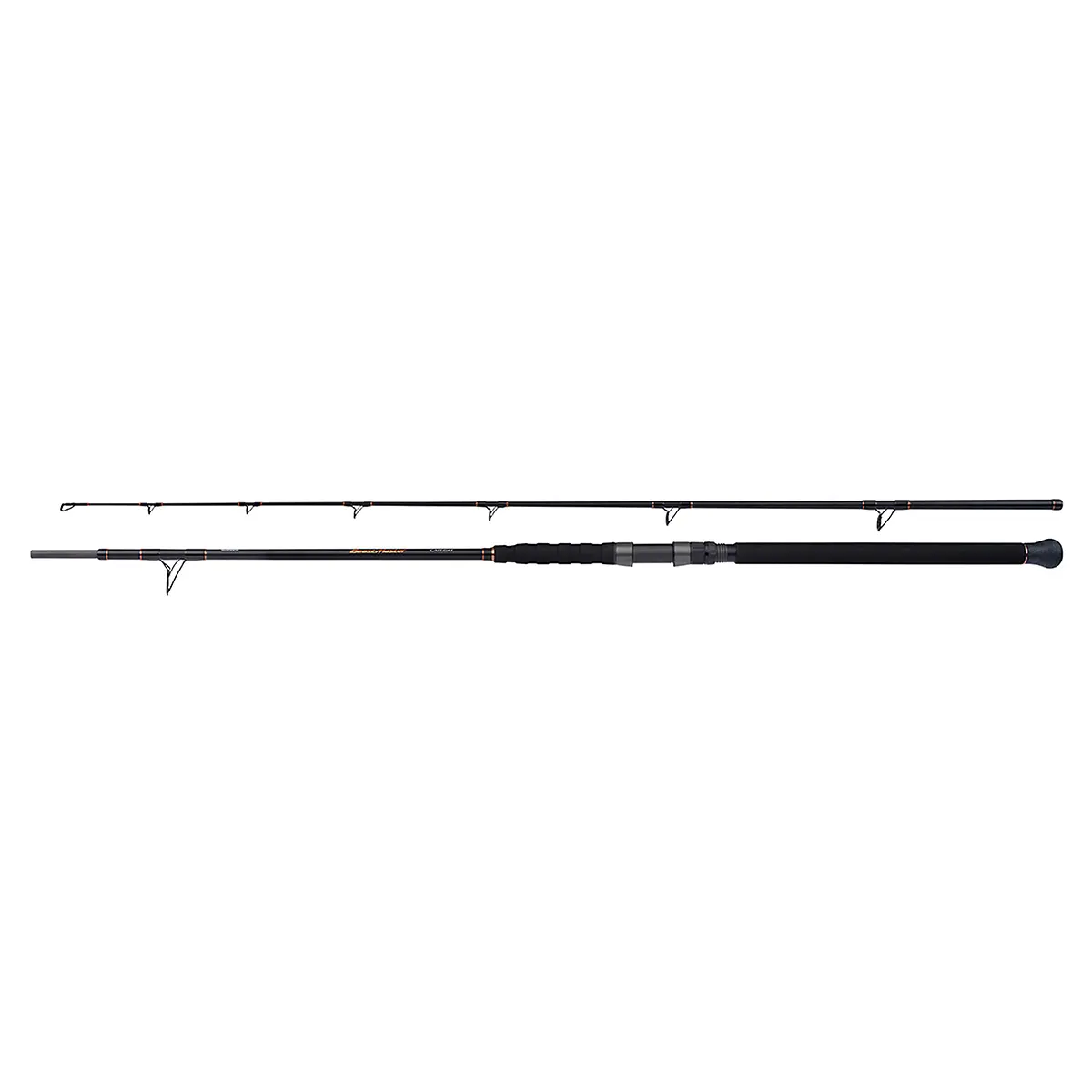 Spinhengel Shimano Beastmaster Catfish Multi 200g