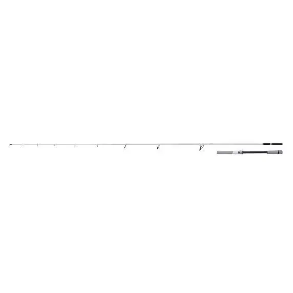 Spinnrute Shimano Stradic Seabass 20-60g