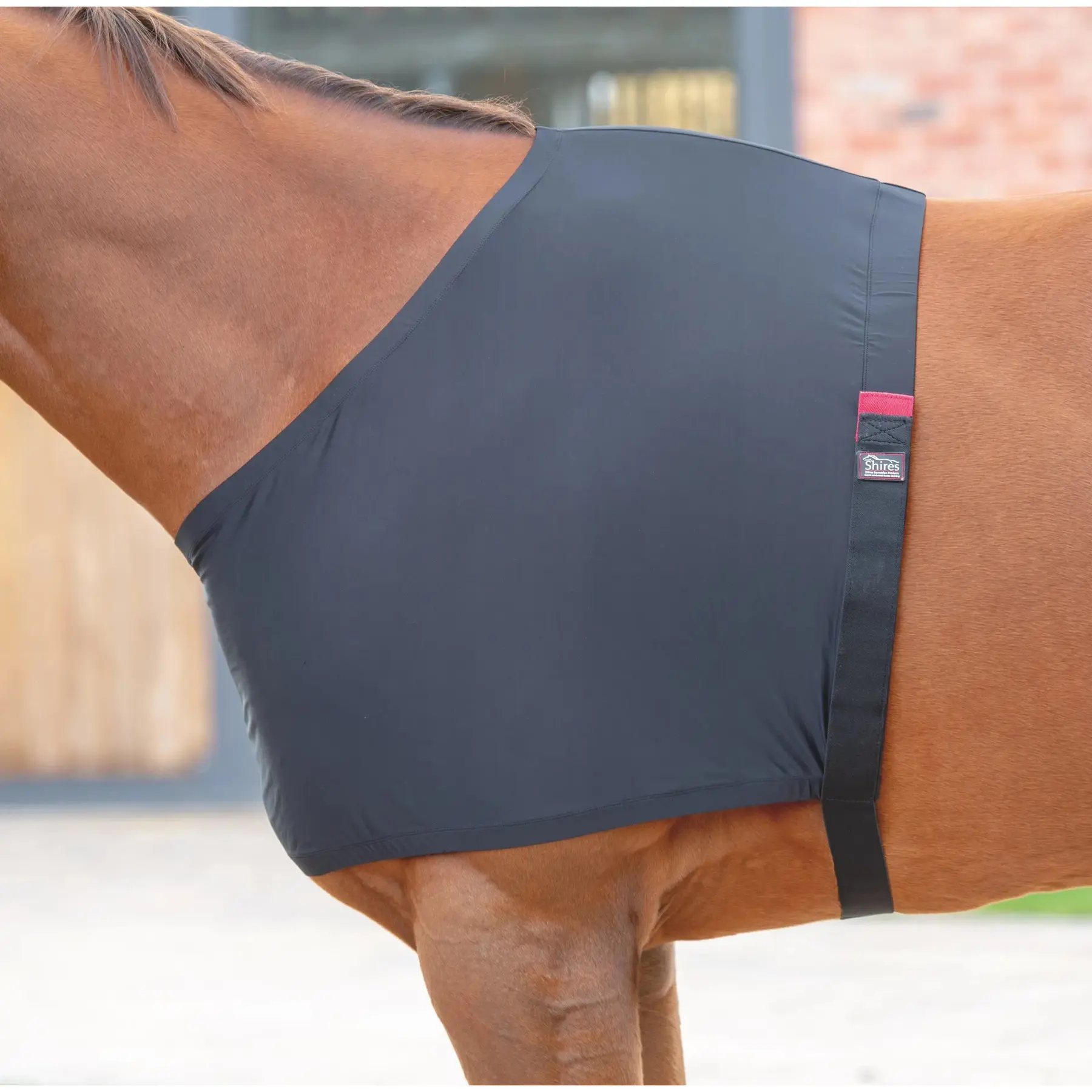 Verstelbare schouderbescherming voor paarden Shires