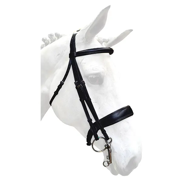 Riding bridles + leather reins sewn with leather and grip Silver Crown Grand Tour