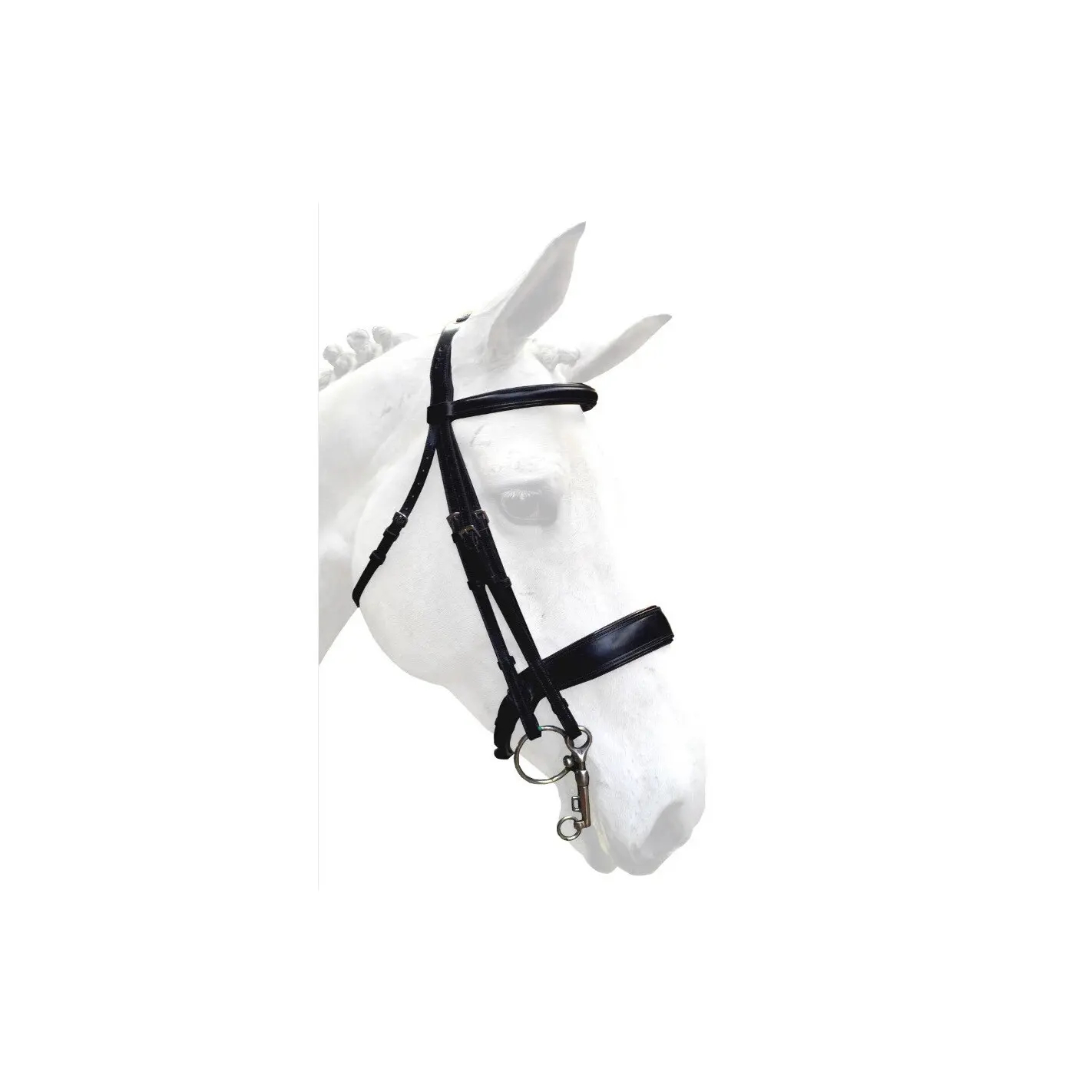 Riding bridles + leather reins sewn with leather and grip Silver Crown Grand Tour