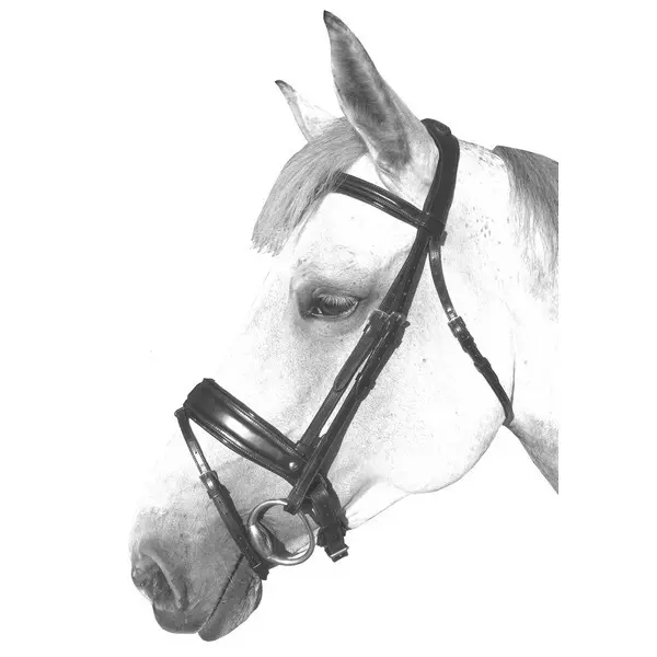 Riding bridles + leather/grip reins Silver Crown Grand Tour