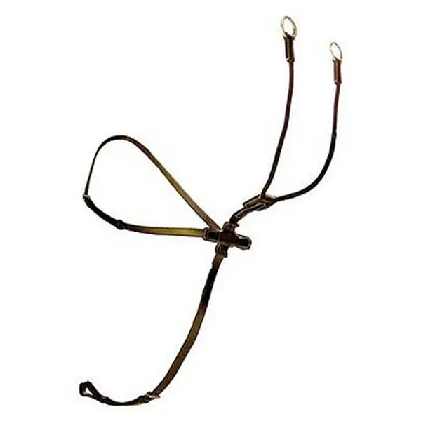 Martingale Silver Crown