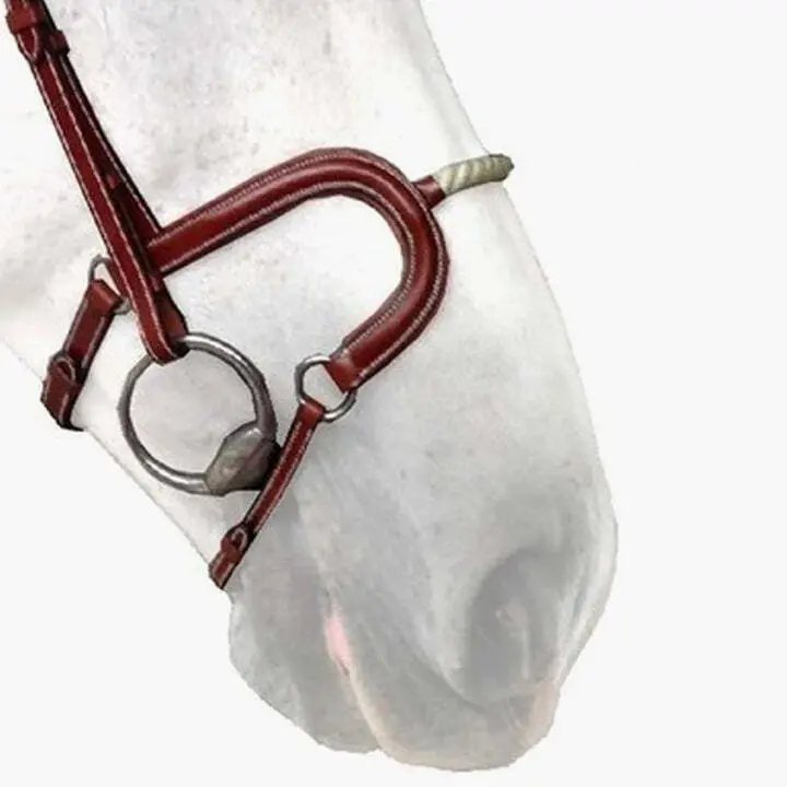 Horse cheek pieces Silver Crown H