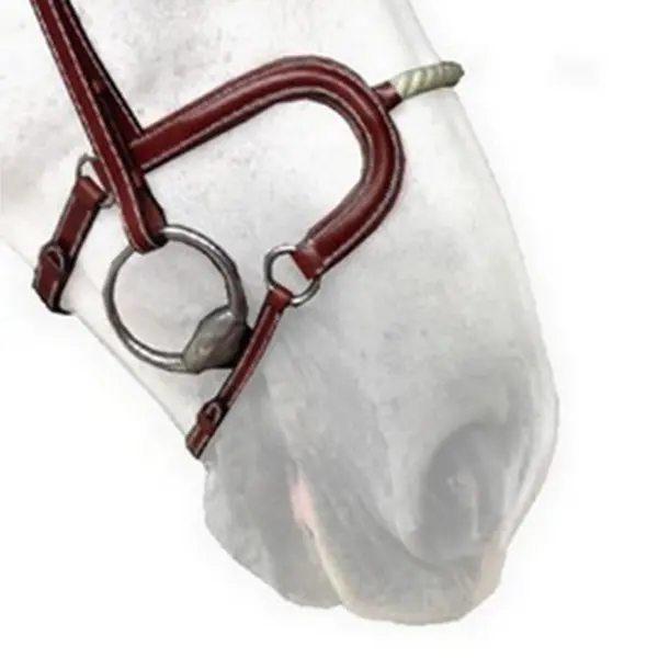 Reithalfter cheval corde Silver Crown H